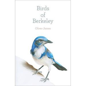 Birds of Berkeley -- Oliver James